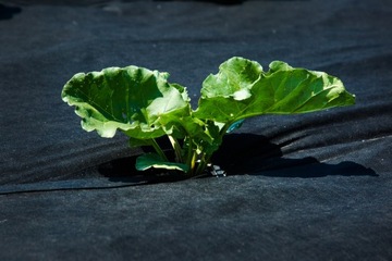 АГР НЕТКАНЫЙ УФ П-100Г/М2 1,2х20м ЧЕРНЫЙ ТОЛЩИННЫЙ!!!