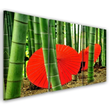 OBRAZ TRYPTYK Japonia Bambus Parasolki 120x80