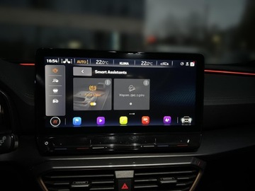 Cupra Formentor Crossover 2.5 TSI 390KM 2023 Cupra Formentor VZ5 2.5 TSI 390KM Audio System Bea, zdjęcie 20