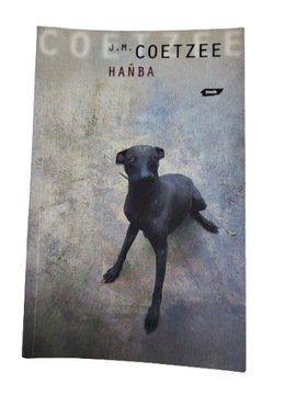 Hańba Coetzee
