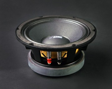 Однополосные автомобильные колонки STREET SOUND - BLACK80 (550W) SPL 20см