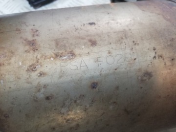 C4 CACTUS 1.6 BLUHDI КАТАЛИТИЧЕСКИЙ FAP F026 308 T9