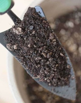 Водопроницаемый субстрат объемом 10 л для монстеры филодендрон