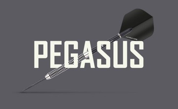 RED DRAGON Pegasus 22 г — набор из 3 профессиональных вольфрамовых дротиков