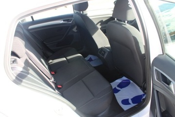 Volkswagen Golf VII Hatchback 3d Facelifting 1.6 TDI-CR DPF BMT 115KM 2019 Volkswagen Golf Trendline LED Gwarancja, zdjęcie 25