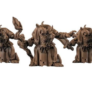 Swarm Priest