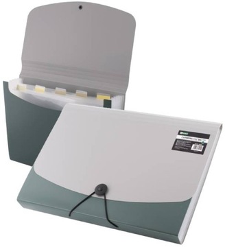 TECZKA D.RECT 5566 6 PRZEGRÓDEK A4 ZIELONA