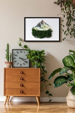 Картина Мох подарок Горная вершина над лесом 60х40