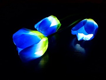 Подключаемая солнечная лампа TULIPS LED цветочная лампа SOLAR TULIP FLOWERS