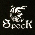 СТРУНЫ ДЛЯ СКРИПКИ 4/4 SPOCK S122 НАБОР ИЗ 4 СТРУН СРЕДНЕГО