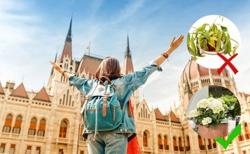 АВТОМАТИЧЕСКИЙ КОМПЛЕКТ КАПЕЛЬНОГО орошения С ТАЙМЕРОМ НА 12 РАСТЕНИЙ