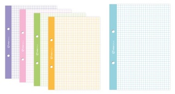 Вкладыш для скоросшивателя с цветной сеткой А5 50к х 10.