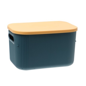 Organizer Pudełko Z Pokrywką Pojemnik 6L OR29