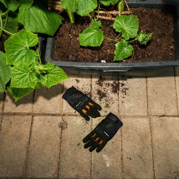 Fyskars Рабочие перчатки садовые перчатки для деревянного сада, 8