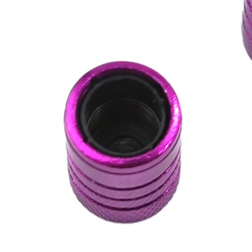 4 колпачка стержня вентиля шины Монтаж Пылевая эрозия