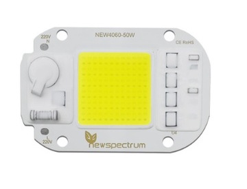 LED COB 50W 220V-230V Biała Zimna + Pasta