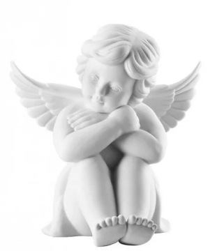 Анхель крупно поддержал Розенталя