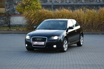 Audi A3 8P Hatchback 3d 1.6 102KM 2008 Audi A3 1.6MPi 102KM Manual 2008r. lift Climatroni, zdjęcie 15