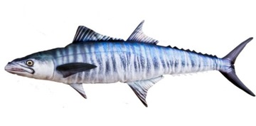 GABY pluszak ryba zabawka poduszka MAKRELA H. 97cm
