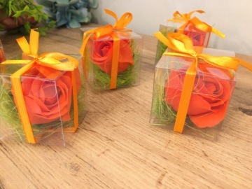 ВАШИНГТОНСКИЙ ЦВЕТОК в коробке подарок спасибо