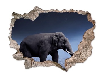 Naklejka na ścianę dziura 3D fototapeta słoń nocą