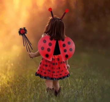 Biedronka наряд замаскирую