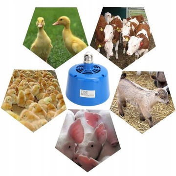 Нагревательная лампа для поросят 220В 100-300Вт Курица