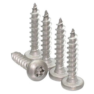 5x40 Wkręt Do Drewna Soczewka A2 Torx 10szt