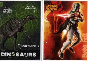 Karteczki do segregatora Derform Star Wars 06 + Dinosaurs 04