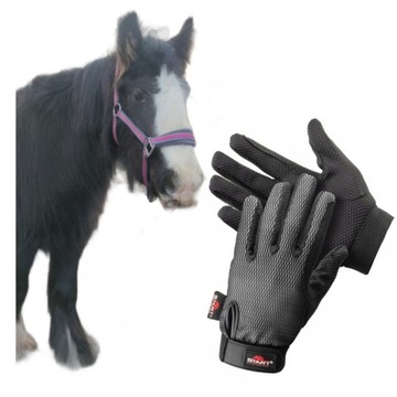 XXL GLOVES START Хайнан круглогодичное катание