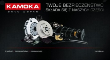 5600053 ПОДШИПНИК KAM, РЕМОНТНЫЙ КОМПЛЕКТ СТУПИЦЫ RENAULT P