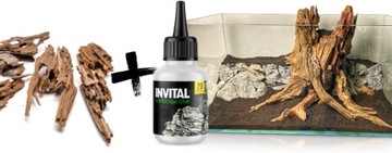 INVITAL HardScape Glue 20 g - klej do dekoracji