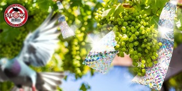 ЛЕНТА ДЛЯ ПТИЦ, ЗАГОЛОВКОВ, ВОРОБЕЙ, ОТПУСКАТЕЛЬ ПТИЦ ВСПЫШКИ И ЗВУКА, ДО 45 МБ