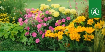 Ручной распылитель MAROLEX Master ergo 3000 3L ИСПОЛЬЗОВАНИЕ В ЛЮБОМ ПОЛОЖЕНИИ