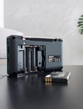 РОЗЕТКА ПОРТАТИВНАЯ РАДИО BLAUPUNKT PR5BL USB SD