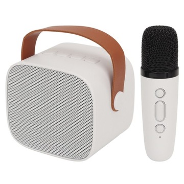 P2 Mini Karaoke Przenośny głośnik Bluetooth