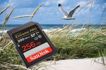 Карта памяти SANDISK Extreme PRO SDXC 256 ГБ
