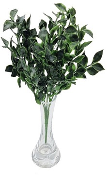 BUKIET G2007 BUKSZPAN 33cm LIŚCIE LISTKI roślina