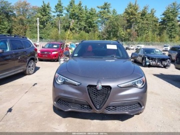 Alfa Romeo Stelvio SUV Facelifting 2.0 Turbo 280KM 2020 Alfa Romeo Stelvio Ti sport awd 2.0 Benzyna 280KM, zdjęcie 5