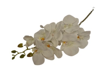 Storczyk biały ecru gałazka piękny jak żywy 76 cm white biel orchidea