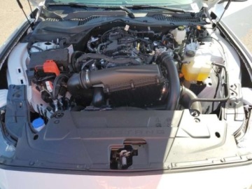 Ford Mustang VI 2024 Ford Mustang 2024, 2.3L, od ubezpieczalni 2.3 Benzyna 315KM, zdjęcie 10