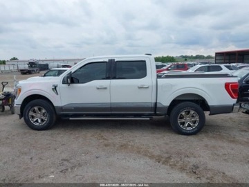 Ford 2021 Ford F150 XLT 2021 3.5l 3.5 Hybryda 290KM, zdjęcie 2