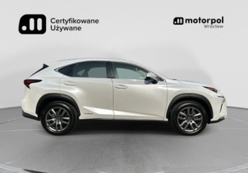 Lexus NX I SUV Facelifting 300h 197KM 2019 Lexus NX Elegance, Hak, Tempomat, Podgrzewane fotele, Rozpoznawanie znakow, zdjęcie 13