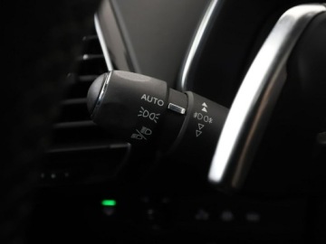  DS Automobiles DS 7 Crossback RIVOLI Panorama Navi, zdjęcie 37