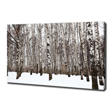 Foto obraz canvas na ścianę Brzozy zimą 100x70 cm