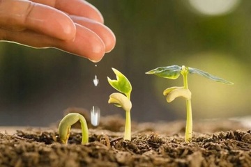 КОКОСОВЫЙ СУБСТРАТ УНИВЕРСАЛЬНЫЙ ПОЧВА ДЛЯ ВЫРАЩИВАНИЯ РАСТЕНИЙ С ECO FIBER 60L