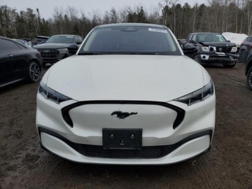 Ford Mustang VI 2024 Ford Mustang 2024 Ford Mustang Mach-E Premium Elektryczny 325KM, zdjęcie 5