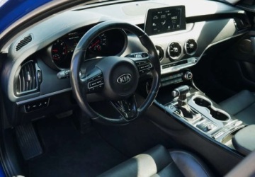 Kia Stinger Liftback 2.0 T-GDI 255KM 2018 Kia Stinger Kia Stinger 2.0 T-GDI GT Line 2.0 Benzyna 255KM, zdjęcie 22