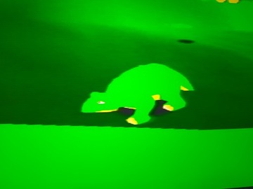 Gra THE LAND BEFORE TIME RETURN PSX CZYTAJ OPIS !!!