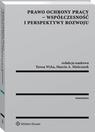 Prawo ochrony pracy - współczesność i perspektywy